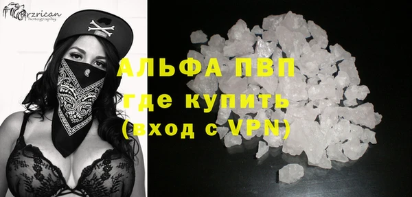 хмурый Корсаков