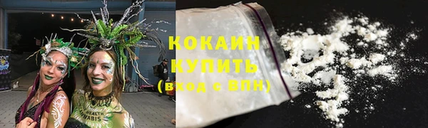 хмурый Корсаков