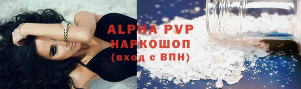 хмурый Корсаков
