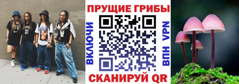 Псилоцибиновые грибы мицелий  Купить закладки  Керчь 
